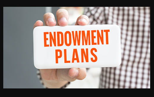  Endowment Plans